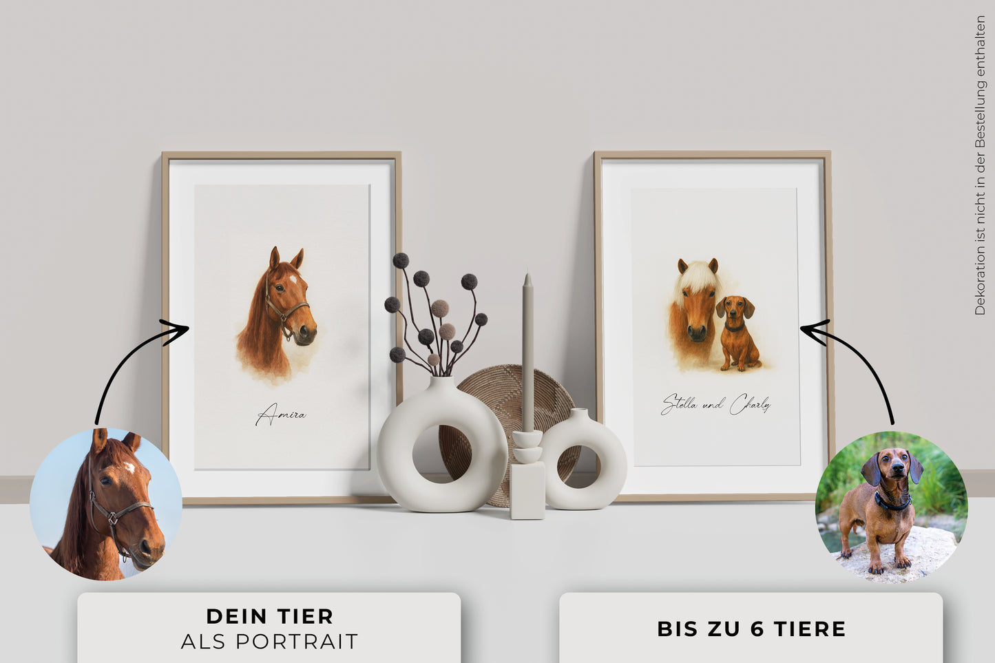 Dein Haustier als Porträt