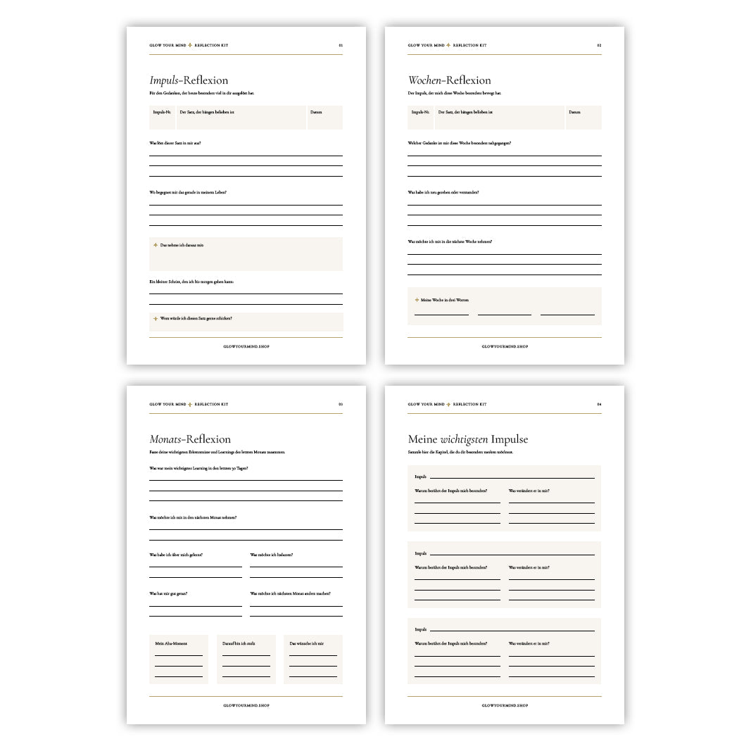 Reflection Kit zum Buch