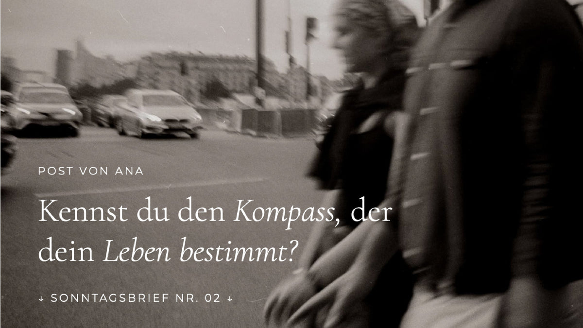 Der Kompass, der (fast) alles erklärt | Sonntagsbrief #2