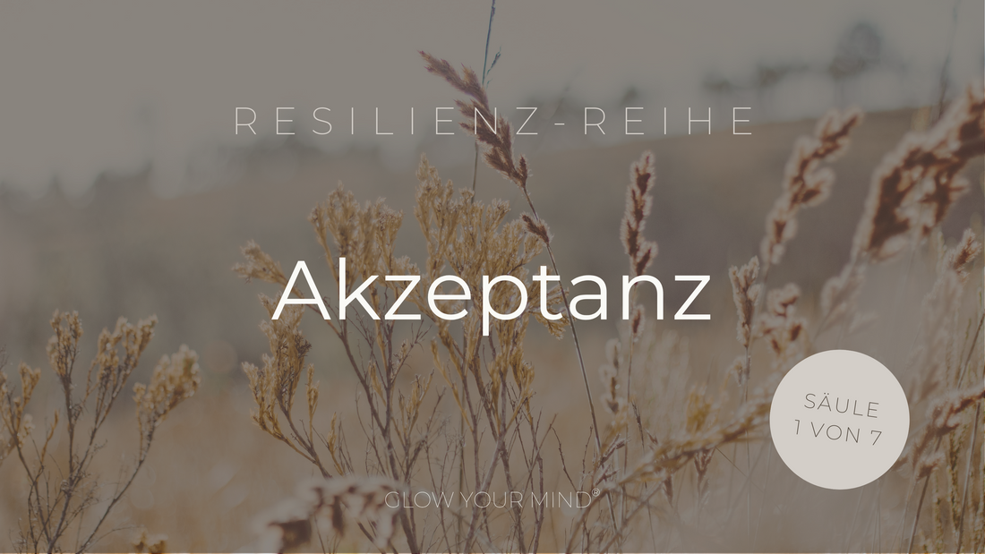 Resilienz-Coaching - Säule 1/7: Akzeptanz