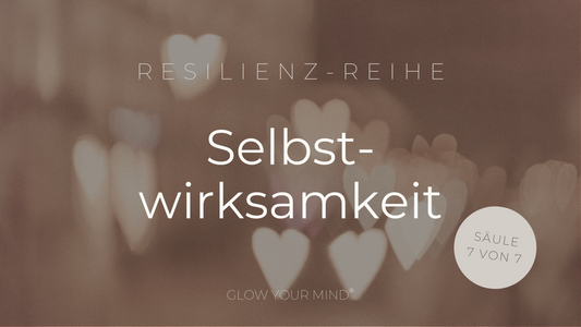 Selbstwirksamkeit - Säule 7/7